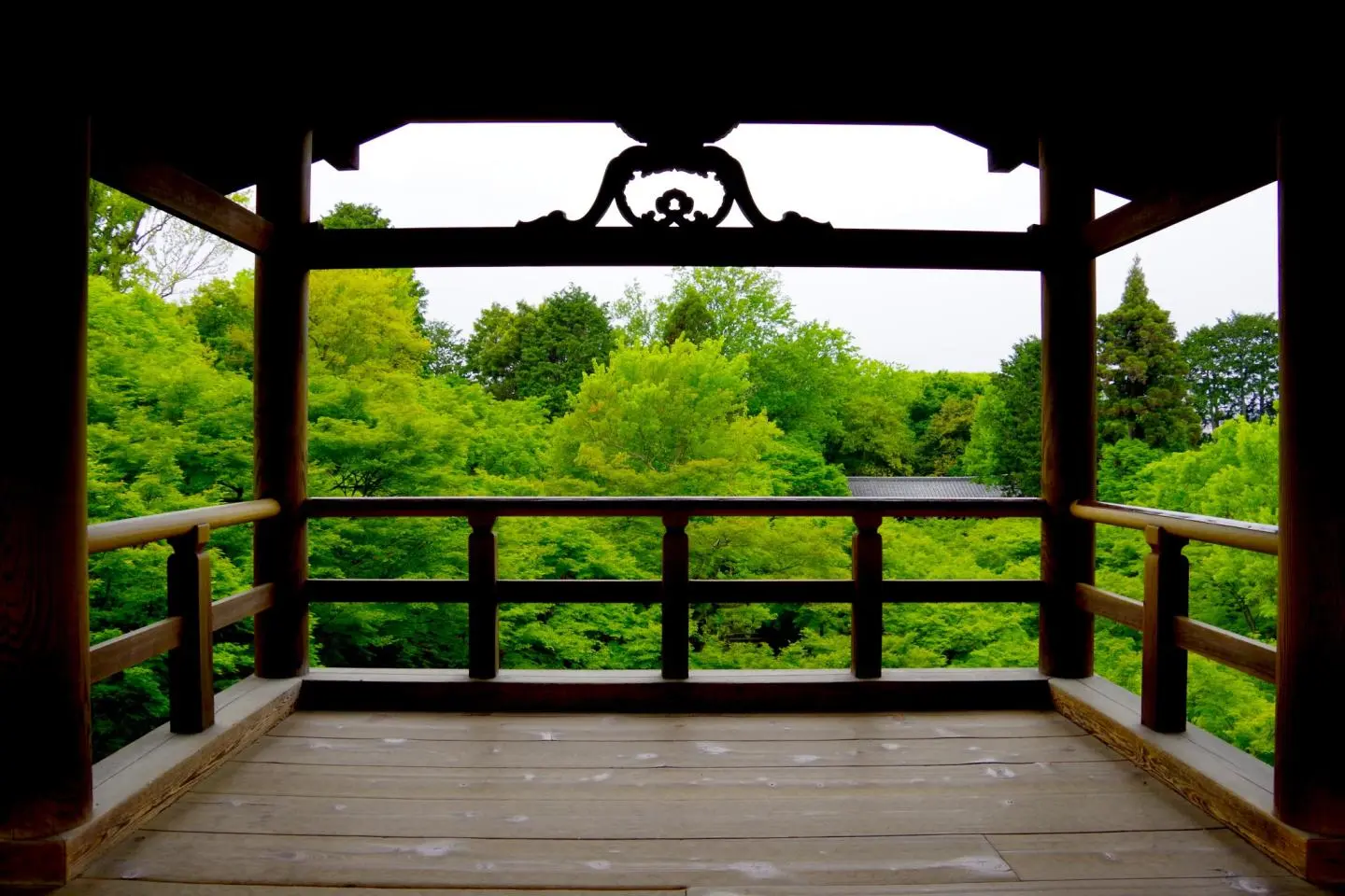 Green Valley in Tofuku-ji Temple