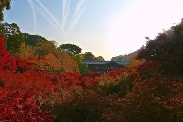 숯불 색깔의 타일 지붕 다리와 복도는 가을 숲에