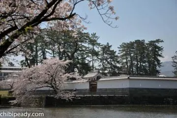 A picturesque view of the castle wall