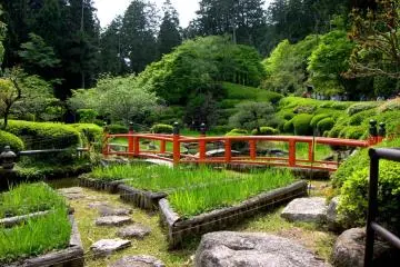 <p>Stepping stones lead between beds of irises</p>