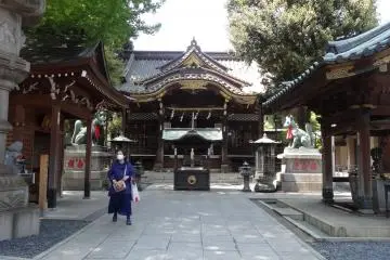 Gallery image