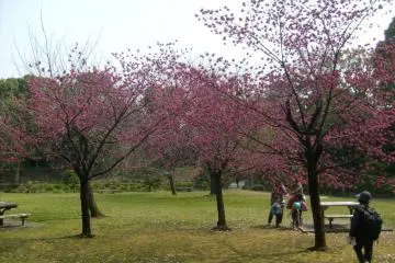 <p>The open space for resting up near the pond's southern shore</p>