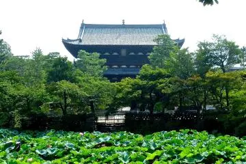 <p>Lotus pond in front of Sanmon Gate</p>