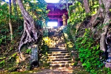 <p>Stairway leading up to temple</p>