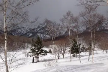 <p>Kagami-ike in winter, viewed from the deck of Donguri House.</p>