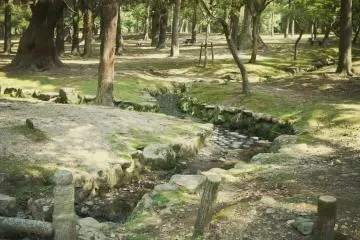 <p>Enjoying a walk in the quiet park.</p>