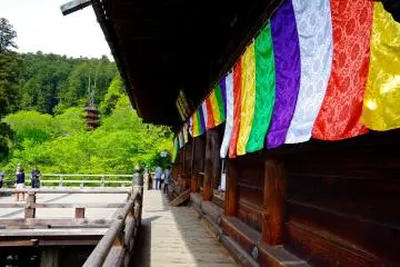 <p>Main hall and the terrace commanding a nice view</p>