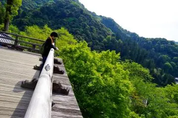 <p>Edge of the terrace</p>