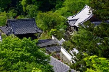 <p>Temple buildings looking down from the terrace</p>