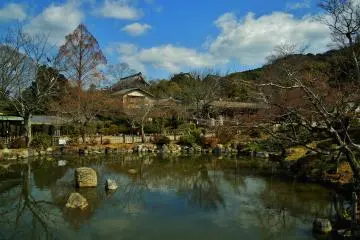 <p>Various ponds are scattered around the temple complex</p>