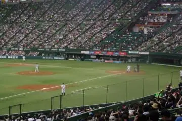 <p>Competing in the Pacific League</p>