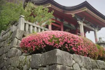 <p>Beautiful colors.</p>