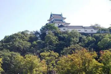 Wakayama City