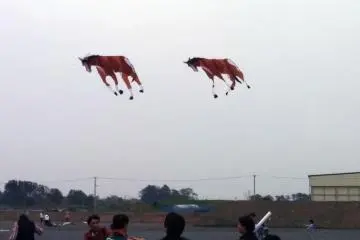 <p>These horse kites appeared to be at full gallop in the wind</p>