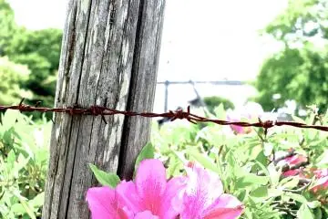 색의 폭발!