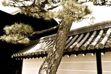 Walking Around the Myoshin-ji Temple Complex