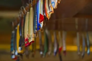 <p>Fishing lures at to the seaside theme</p>
