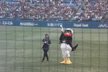 <p>Tsubakuro, the Tokyo Swallows' mascot, fires T-shirts into the crowd at Jingu Stadium</p>
