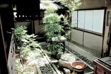 <p>A cozy inner garden</p>