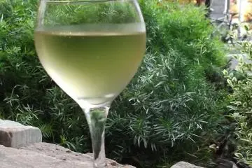 I wouldn't try this on a windy day