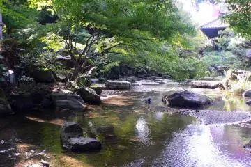 Living Stream