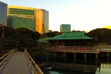 <p>The traditional, and the modern</p>