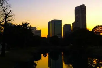 <p>How beautiful can a reflection get?</p>