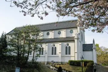 <p>St. Francis Xavier's Cathedral from the side</p>