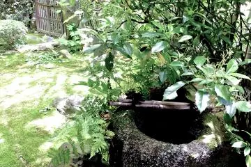 <p>A lovely corner of the garden</p>