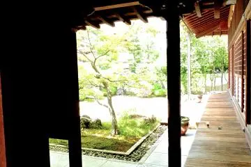 <p>And a view of the temple's beautiful garden</p>