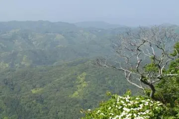 <p>Hills of Chiba's Boro Penninsula</p>