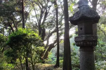 <p>The atmosphere of Nokogiriyama</p>