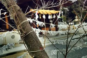 Fortune telling slips tied to strings