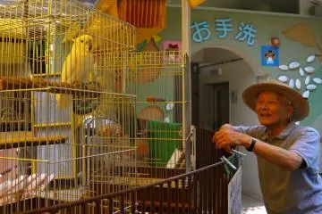 <p>Grandpa was talking to the birds</p>