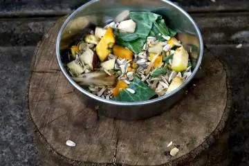 <p>Squirrel food</p>