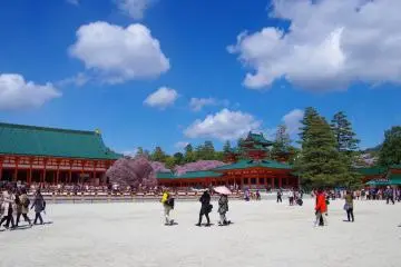 <p>Heian Jingu Shrine in cherry blossom season</p>