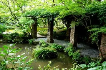 <p>A wisteria covered pergola stands beside the pond</p>