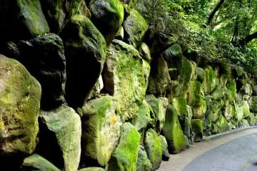 <p>Wall of moss covered boulders on the road up to the villa</p>