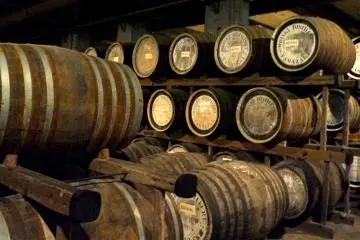 <p>The smell of whiskey is very strong in the aging cellar</p>