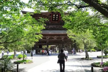 Gallery image