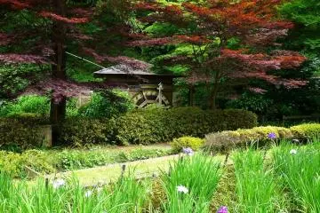 <p>A small mill house tucked away in the trees</p>