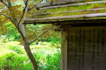 <p>Moss grows thickly on a wooden sign board</p>