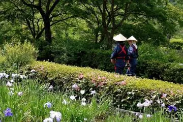 <p>'Iris musume' on their way to work in the iris garden</p>