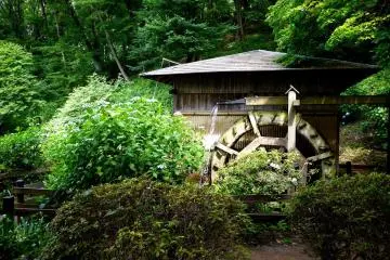<p>A small mill house stands near the iris ponds</p>