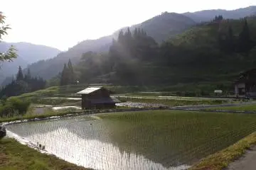 Découvrez le Satoyama