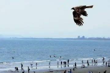 Golden Week at Enoshima