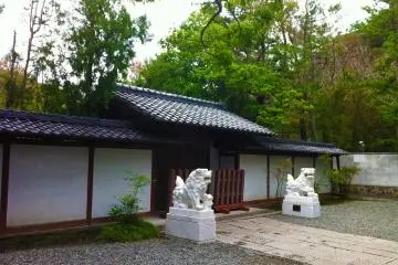 Gallery image