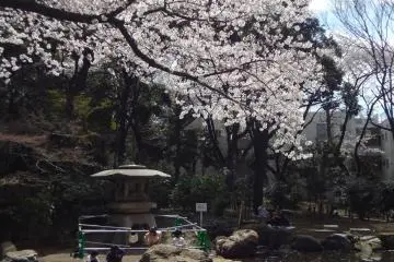 You will see some people eating, drinking beer, sake, or wine.