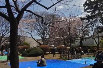 Some people spread plastic blue sheets on the ground to let everyone know that that is their territory