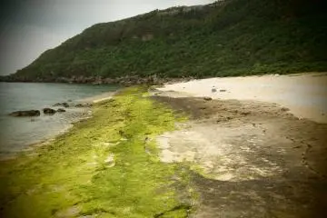 <p>Yoshino coast</p>